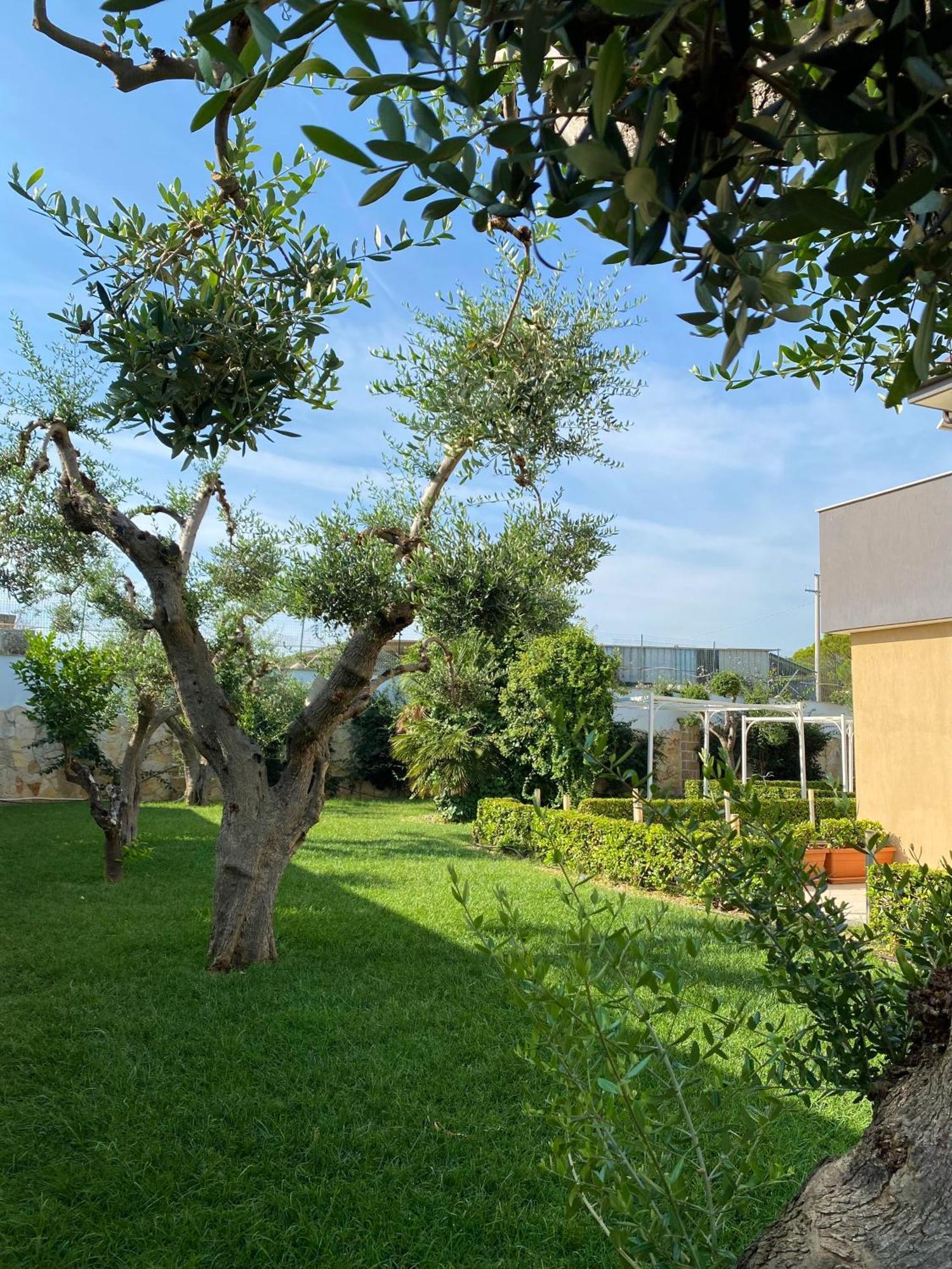 B&B Mirage Bari Dış mekan fotoğraf